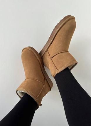 Уггі угги угг ugg mini ginger suede6 фото