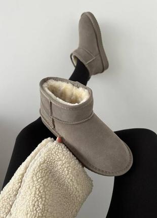 Уггі угги угг ugg ultra mini light grey suede7 фото