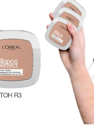 Пудра для обличчя l'oreal paris alliance perfect d3 — beige dore (світло-бежевий золотистий)5 фото