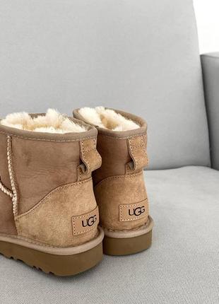 Угги угги угг ugg classic mini brown