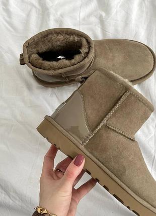 Уггі угги угг Шкіряні кеди ugg