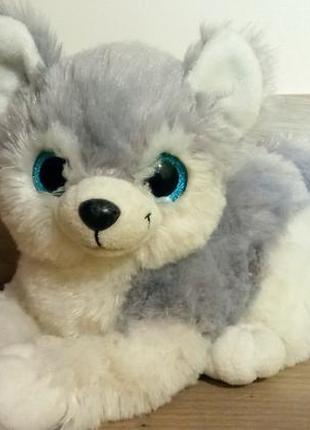 Песик з великими очима