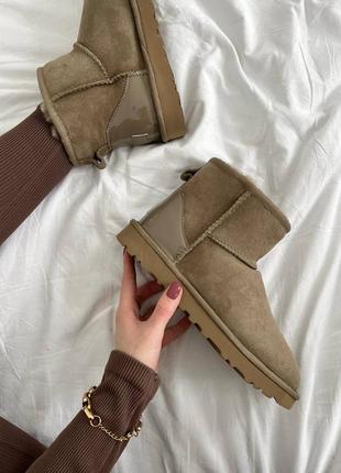 Уггі угги угг Шкіряні кеди ugg