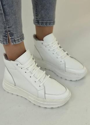 Хайтопи демі