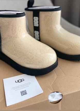 Уггі ugg