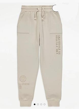 размер джогери на флісі, унісекс,  вишивка.