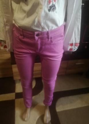 Брюки штаны