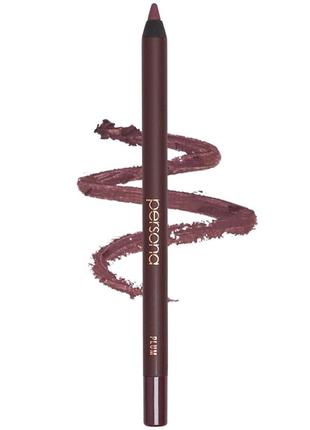 Водостойкий карандаш для глаз persona 24hr waterproof eyeliner brown & plum 2 x 1.2 г3 фото