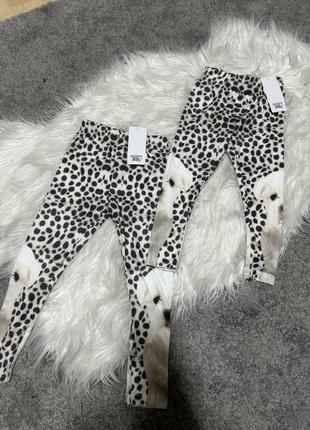 Лосины с собачкой