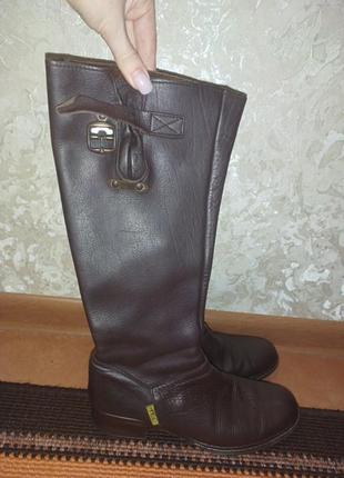 Сапоги кожа на широкую ножку