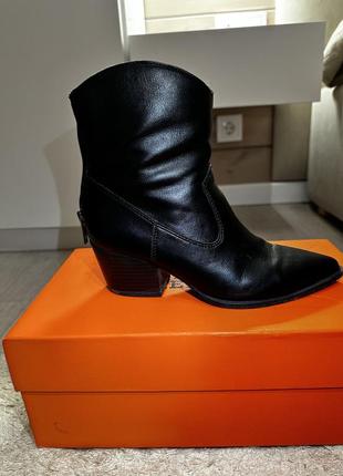Казаки zara