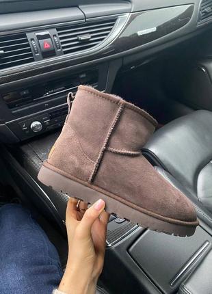 Коричневі ugg . натуральні уггі ugg classic mini chocolate