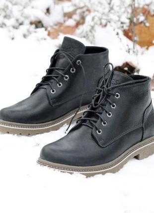 Чоловічі зимові черевики desert bears black