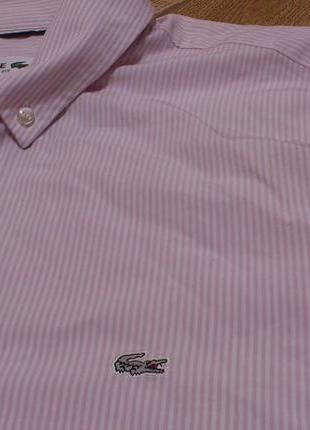 Рубашка мужская полосатая из поплина сорочка чоловіча бавовняна lacoste regular fit р.м🇫🇷4 фото