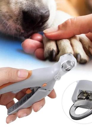 Когтерез для собак и кошек dolle tech, профессиональные ножницы с подсветкой для домашних животных, серый (09510 фото