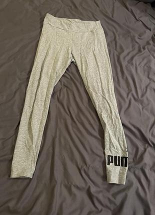 Лосіни puma