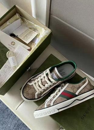 Кеди gucci