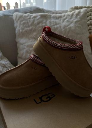 Женские ugg tazz