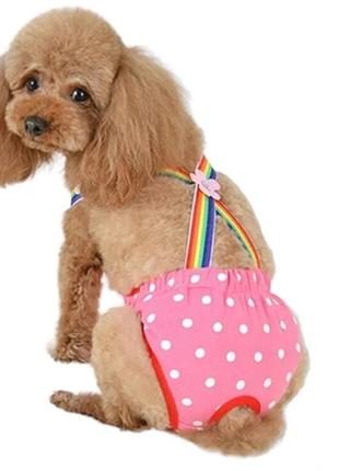 Трусики гігієнічні для собак та котів. одяг, труси