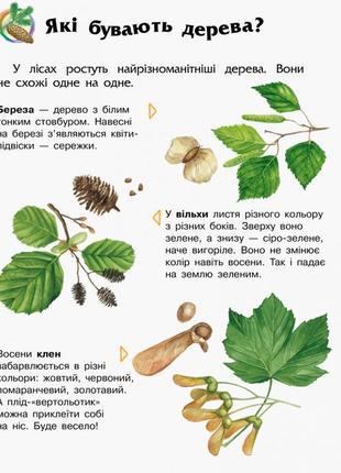 Детская энциклопедия про лес 614016 для дошкольников3 фото