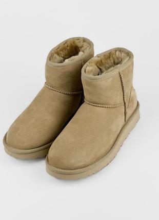 Угги ugg classic mini boot mustard seed