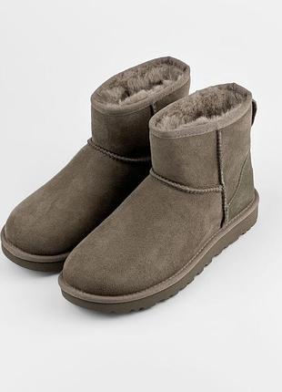 Угги ugg classic mini ii boot