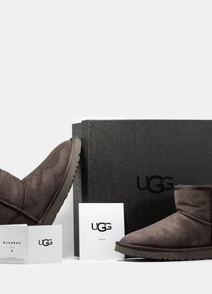 Угги угги угг ugg classic mini1 фото