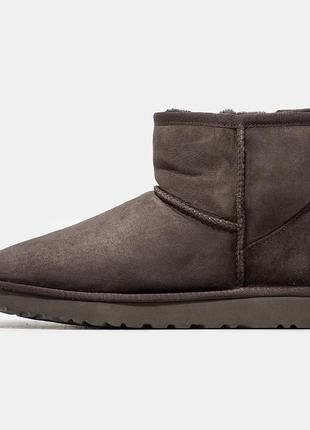 Угги угги угг ugg classic mini8 фото