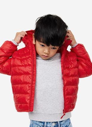 Демисезонная куртока нм/ куртка нм/ детская демисезонная куртка нм2 фото