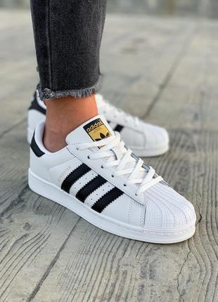 Кроссовки team adidas superstar