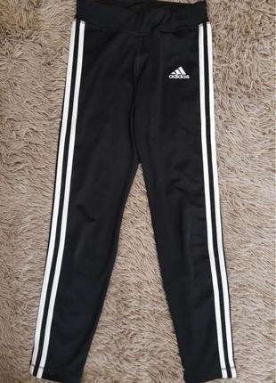 Лосины adidas