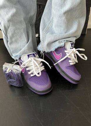 Женские кроссовки найк данк nike sb dunk low “purple lobster” premium7 фото