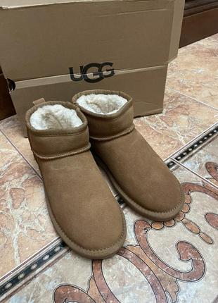 Ugg замшеві уггі classic ultra mini