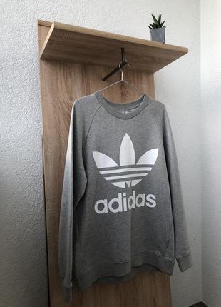 Світшот adidas