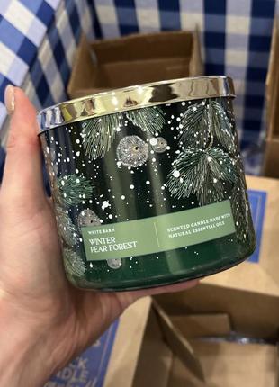 Парфумована свічка на 3 гноти winter pear forest від bath and body works