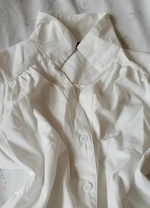 Блуза, рубашка с воротничком и v вырезом3 фото