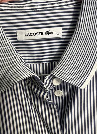 Плаття оригінал , lacoste