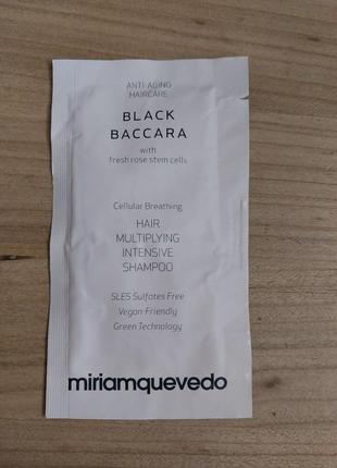 Miriam quevedo black baccara шампунь