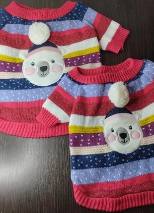 Accessorize одяг для тварин  stripey polar bear d