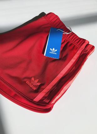 Крутые шорты adidas original новая коллекция оригинал9 фото