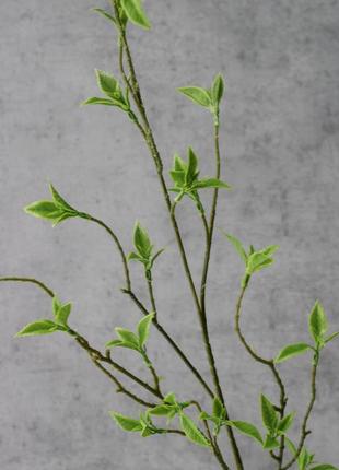 Искусственная ветвь с молодыми листьями, 110 см. зелень премиум-класса для фотозон, интерьеров, декора.2 фото