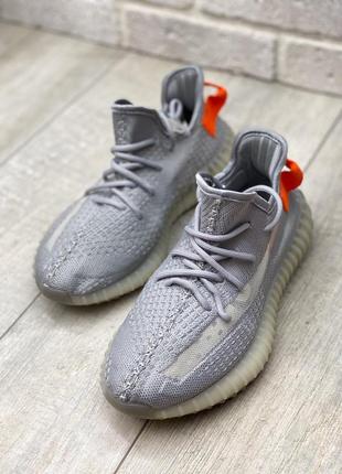 Кросівки adidas yeezy boost 350 кроссовки5 фото