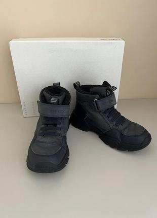 Демісезонні черевики geox 36