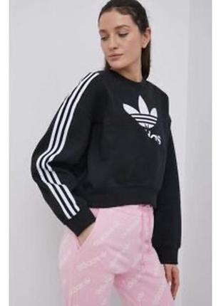 Новый свитшот adidas1 фото