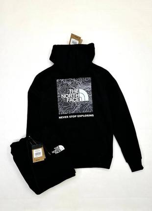 Hoodie the north face