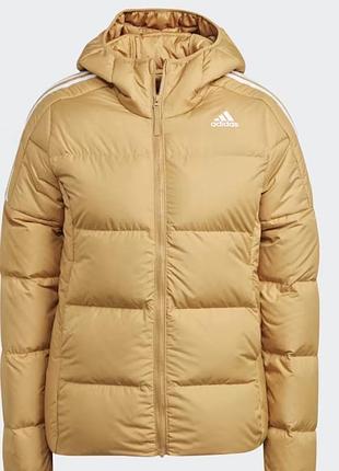 Куриочка adidas original