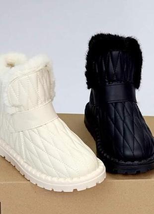 Шикарні уггі