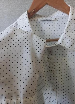 Блузка, сорочка, рубашка,блузка в горох2 фото