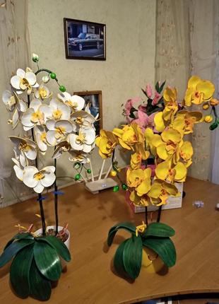 Орхидеи из фоамирана