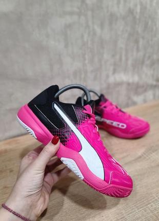 Жіночі кросівки " puma evospeed "